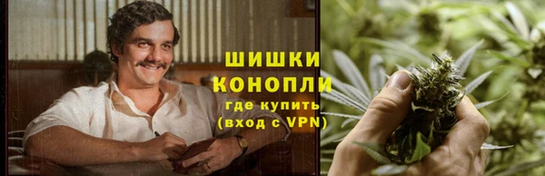 стаф Аркадак