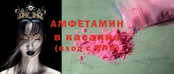 стаф Аркадак