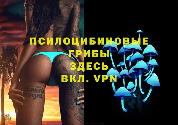 стаф Аркадак