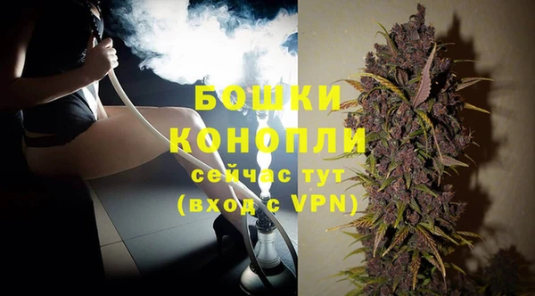 стаф Аркадак
