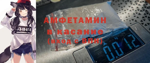 стаф Аркадак