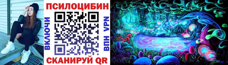наркошоп Талдом Галлюциногенные грибы MAGIC MUSHROOMS